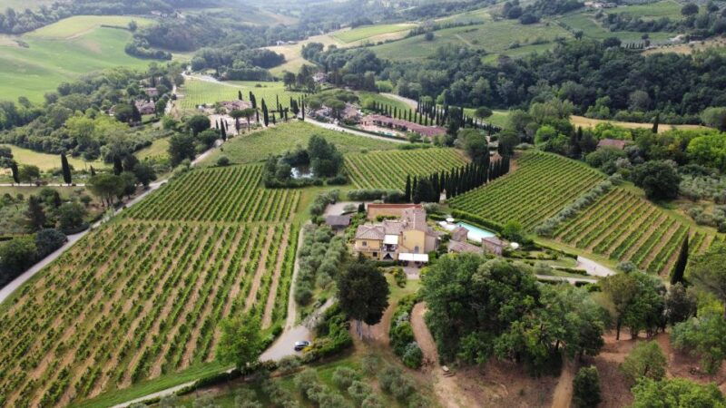 san-gimignano-premium-wine-tour-with-lunch