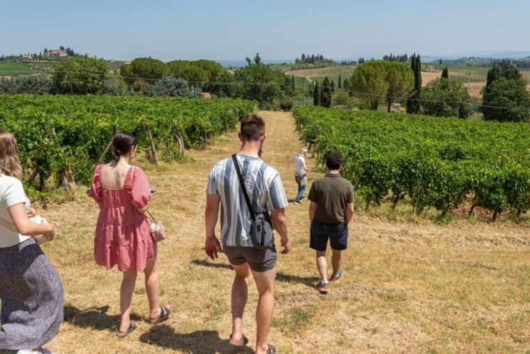 san-gimignano-premium-wine-tour-with-lunch