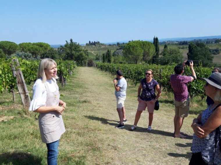 san-gimignano-premium-wine-tour-with-lunch