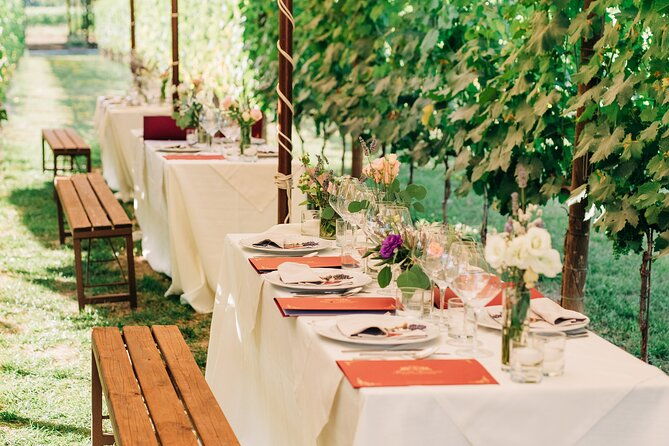san-gimignano-romantic-dinner-in-the-vineyards