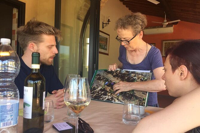 san-gimignano-saffron-and-vernaccia-wine-from-florence