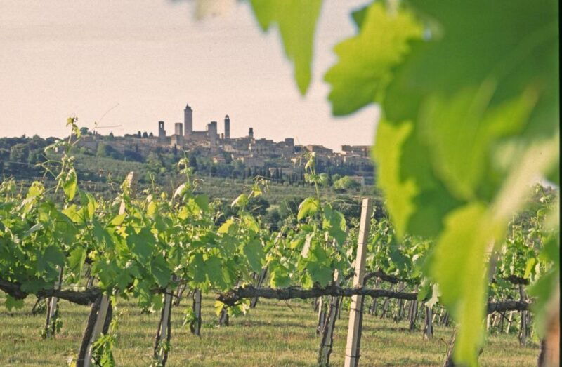 san-gimignano-tasting-with-a-view-of-the-towers