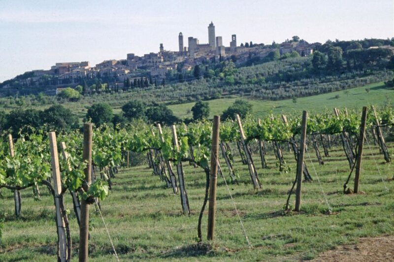 san-gimignano-tasting-with-a-view-of-the-towers