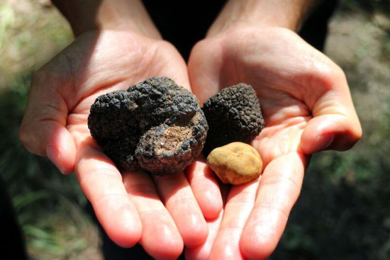 san-gimignano-truffle-cooking-class-with-wine-tasting