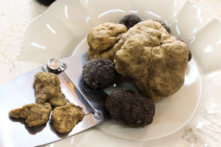 san-gimignano-truffle-cooking-class-with-wine-tasting