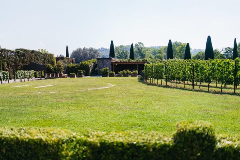 san-gimignano-tuscan-vineyard-lunch-with-wine-tasting