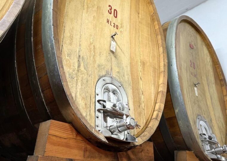 san-gimignano-vineyard-and-cellar-tour-with-wine-tasting-2