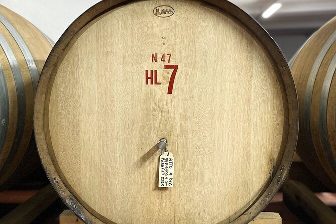 san-gimignano-vineyard-and-cellar-tour-with-wine-tasting