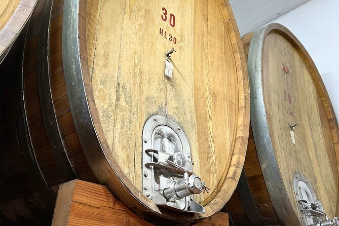 san-gimignano-vineyard-and-cellar-tour-with-wine-tasting