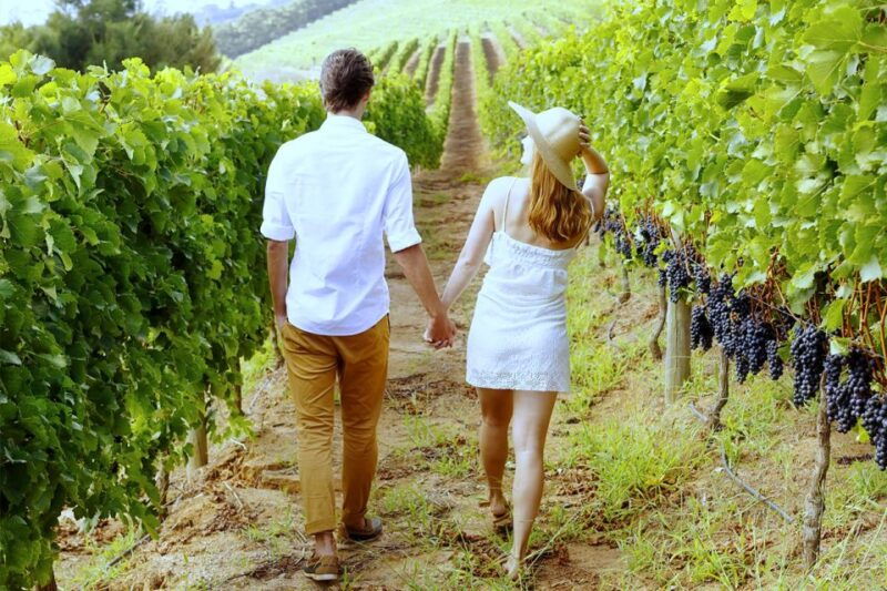 san-gimignano-vineyard-walk-with-wine-tasting-in-winery