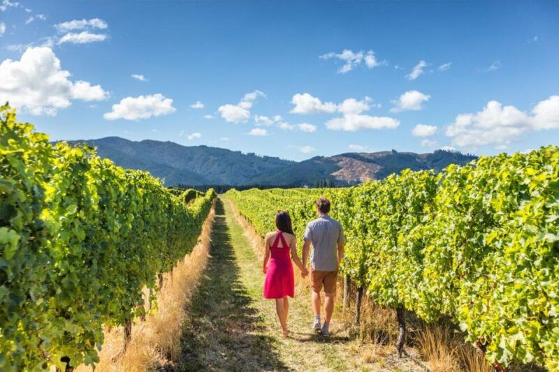 san-gimignano-vineyard-walk-with-wine-tasting-in-winery