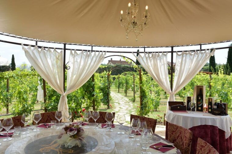 san-gimignano-vineyard-walk-with-wine-tasting-in-winery