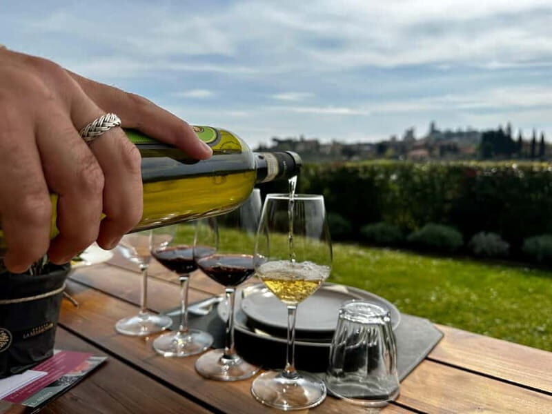 San Gimignano: Wine, Oil, Cheese & Balsamic Tasting - Key Points