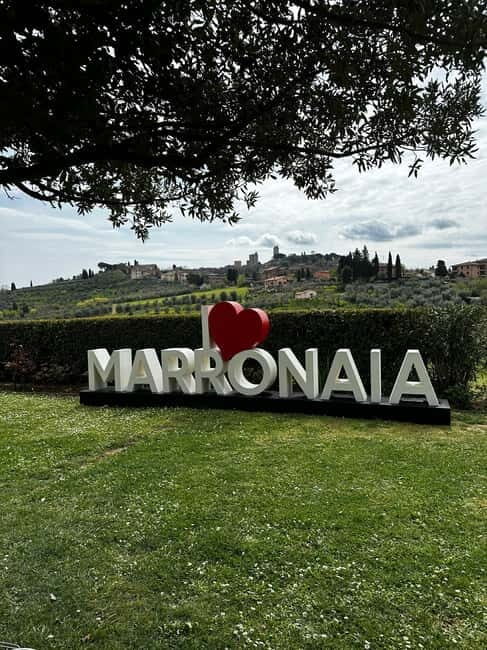 San Gimignano: Wine, Oil, Cheese & Balsamic Tasting - Practical Details and Value