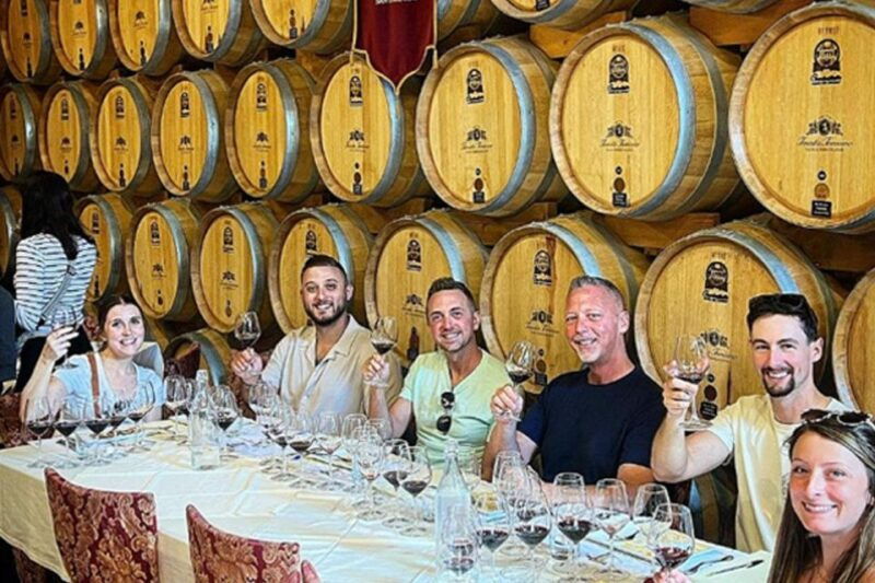 san-gimignano-wine-tasting-and-class-in-winery-for-beginners