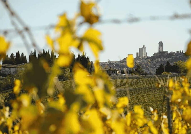 San Gimignano: Wine Tasting Experience at Il Colombaio - Key Points  