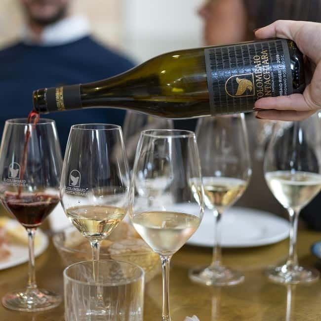 San Gimignano: Wine Tasting Experience at Il Colombaio - Group Size and Meeting Details