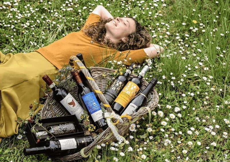 San Gimignano: Wine Tasting Experience at Il Colombaio - The Advantages & Slight Limits