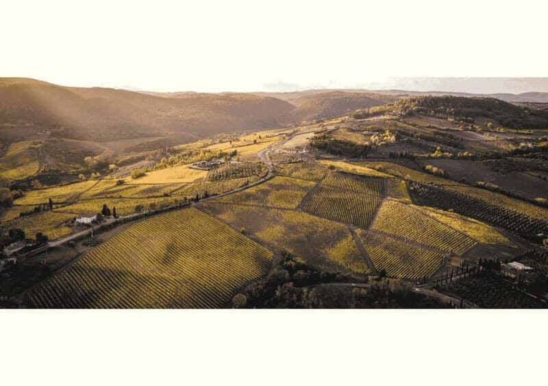 San Gimignano: Wine Tasting Experience at Il Colombaio - Final Word