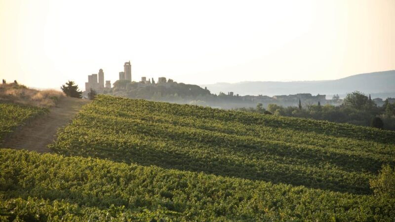 san-gimignano-wine-tasting-in-an-organic-family-winery