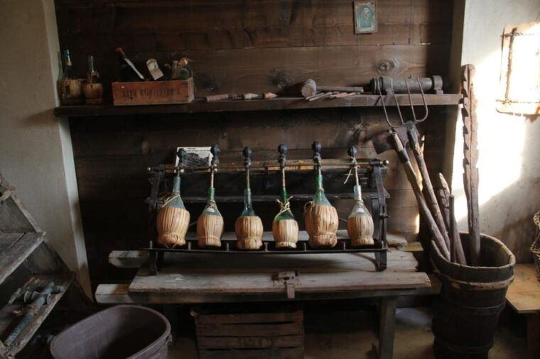 san-gimignano-wine-tasting-in-an-organic-family-winery