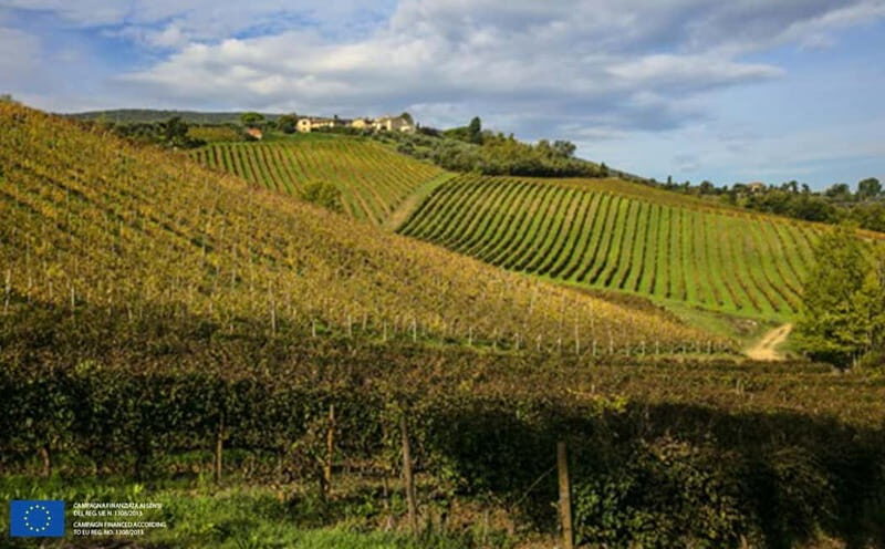 "San Gimignano" Wine Tasting - Palagetto winery - FAQ