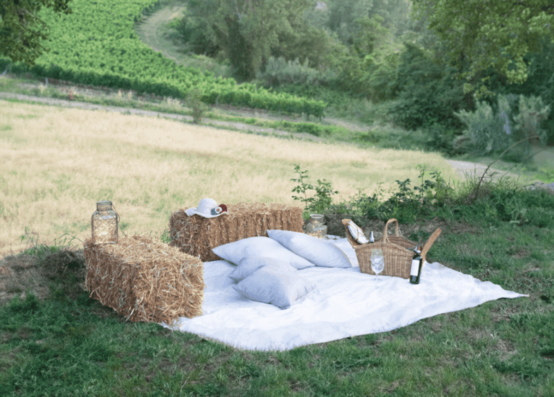 san-gimignano-wine-tasting-with-aperitivo-in-the-vineyard
