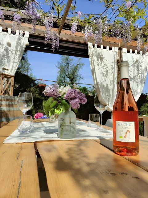 san-gimignano-wine-tasting-with-food-pairing