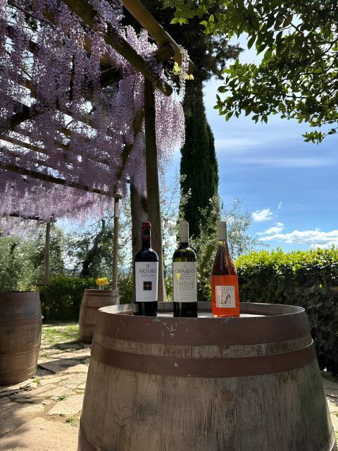 san-gimignano-wine-tasting-with-food-pairing