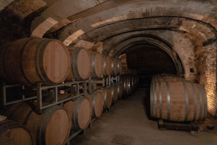 san-gimignano-wine-tasting-with-food-pairing