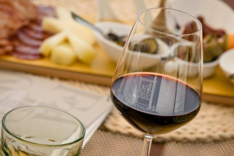 san-gimignano-winery-visit-with-picnic-in-olive-grove