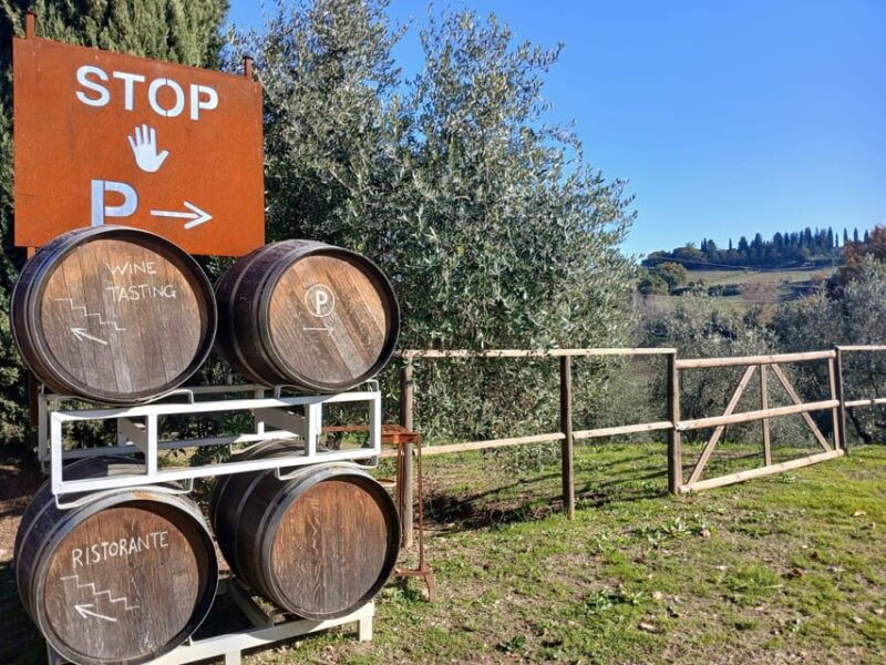 san-gimignano-winery-visit-with-picnic-in-olive-grove