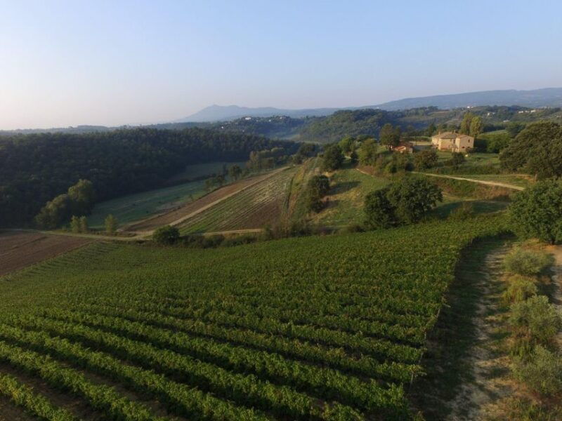 san-gregorio-tasting