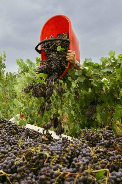 san-gregorio-tasting