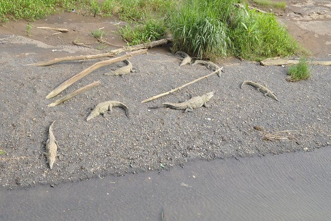 san-jose-airport-to-jaco-beach-private-transfer