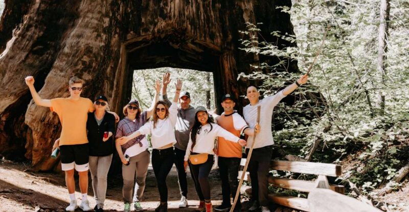 san-jose-yosemite-national-park-and-giant-sequoias-trip