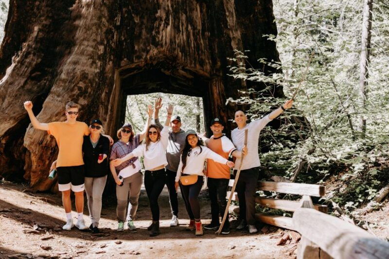 san-jose-yosemite-national-park-and-giant-sequoias-trip