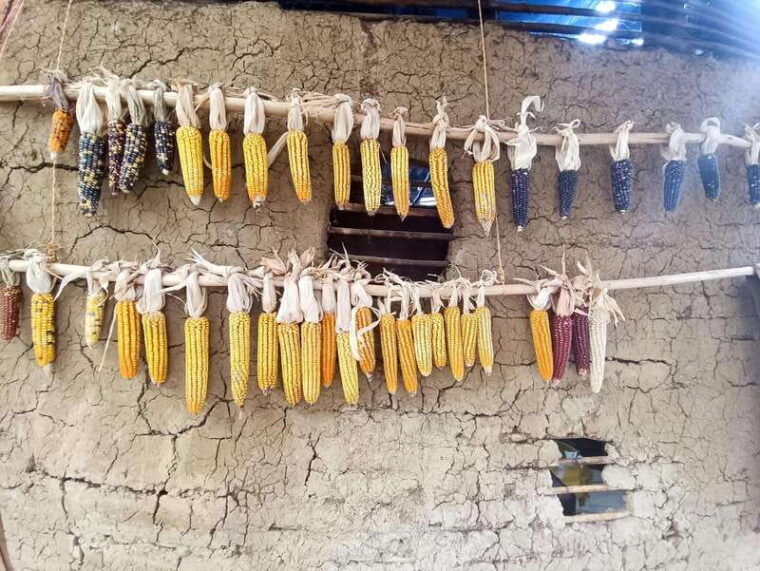 san-juan-chamula-zinacantan-indigenous-villages-tour