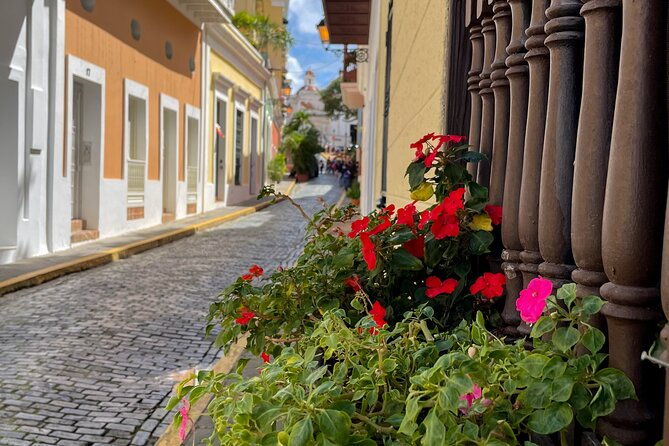 san-juan-driving-tour-see-the-highlights