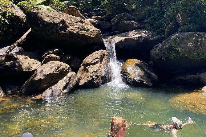san-juan-el-yunque-waterfall-adventure-beach-buggy-with-transfer