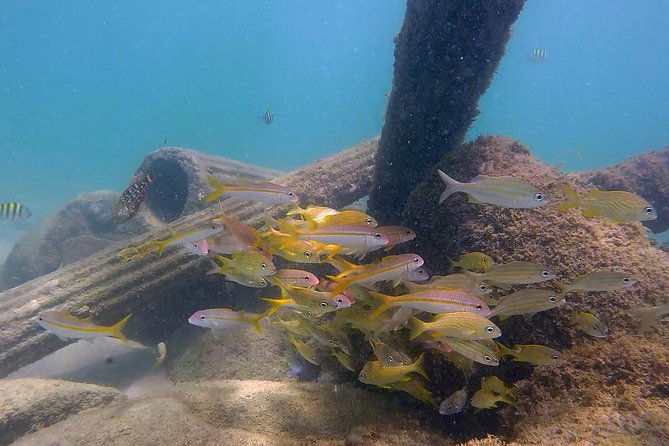 san-juan-guided-snorkel-with-turtles-tour-and-videos