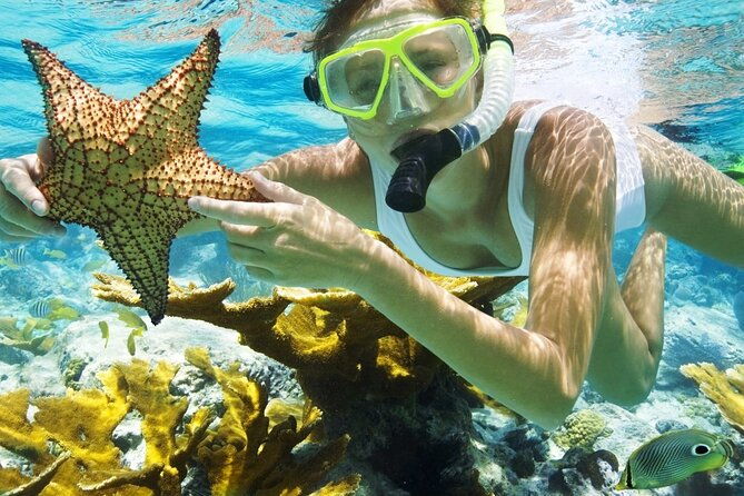 san-juan-guided-snorkeling-experience-with-transport-8am-or-3pm