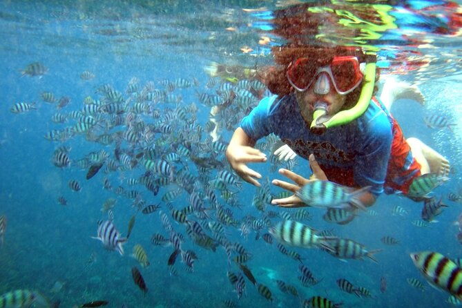 san-juan-guided-snorkeling-experience-with-transport-8am-or-3pm