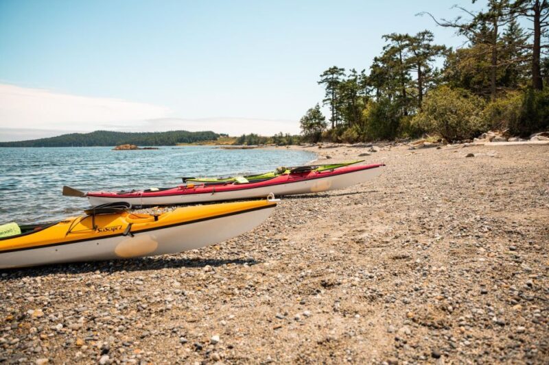 San Juan Island: 3-h Griffin Bay Tour - Who Will Love This Tour?