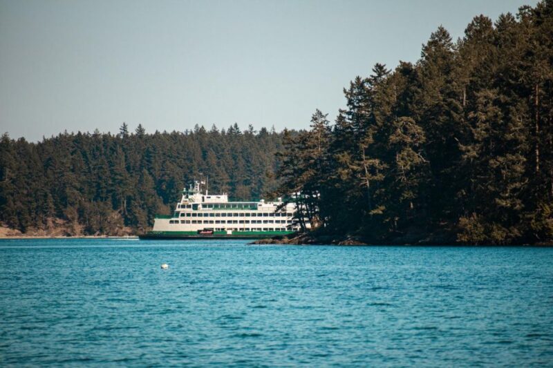 San Juan Island: 3-h Griffin Bay Tour - Final Thoughts