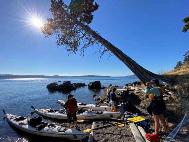 san-juan-island-full-day-kayaking-tour-with-lunch-2