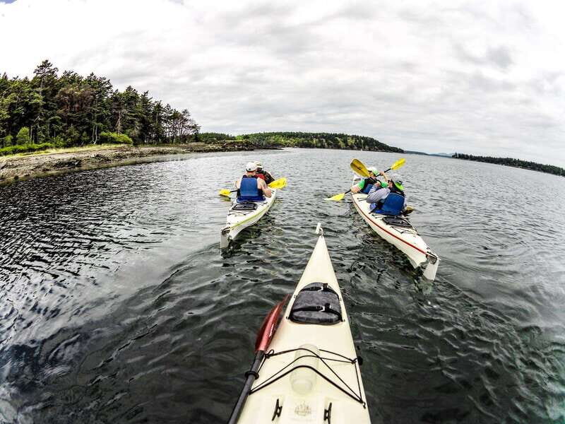 San Juan Island: Full Day Kayaking Tour with Lunch - Summary  