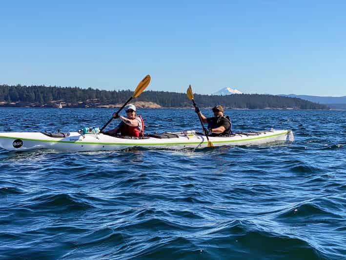 san-juan-island-full-day-kayaking-tour-with-lunch