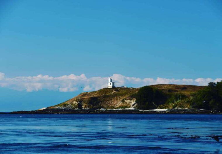 san-juan-islands-3-day-kayak-and-camping-adventure-2