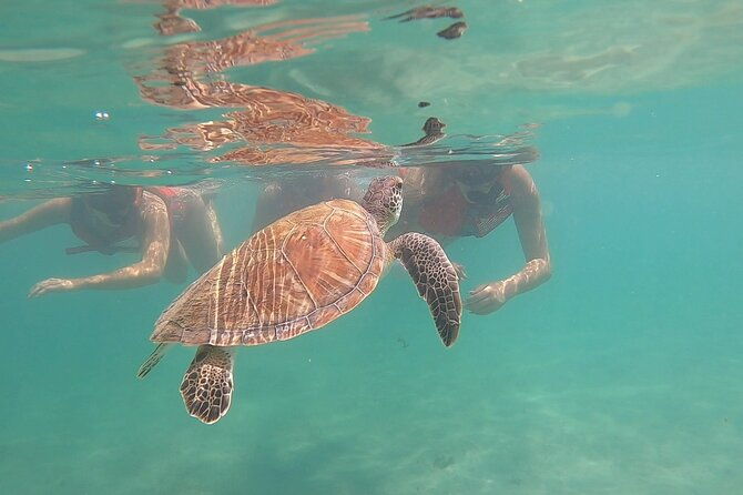 san-juan-kids-and-family-snorkeling-adventure-with-videos